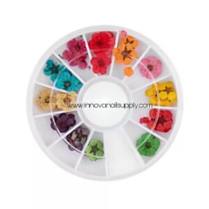 Dried Flowers Nail Art Decoration / Set #5