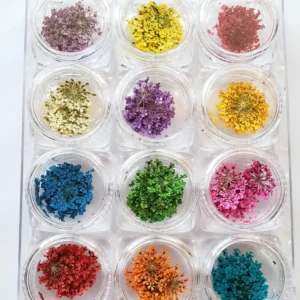 12 Colors Dried Flowers Nail Art #1 (10 Pcs each)