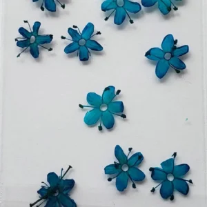 12 Pcs Dried Flowers Nail Art